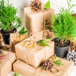 collection-christmas-gift-boxes-with-natural-rustic-decorations_136595-9327